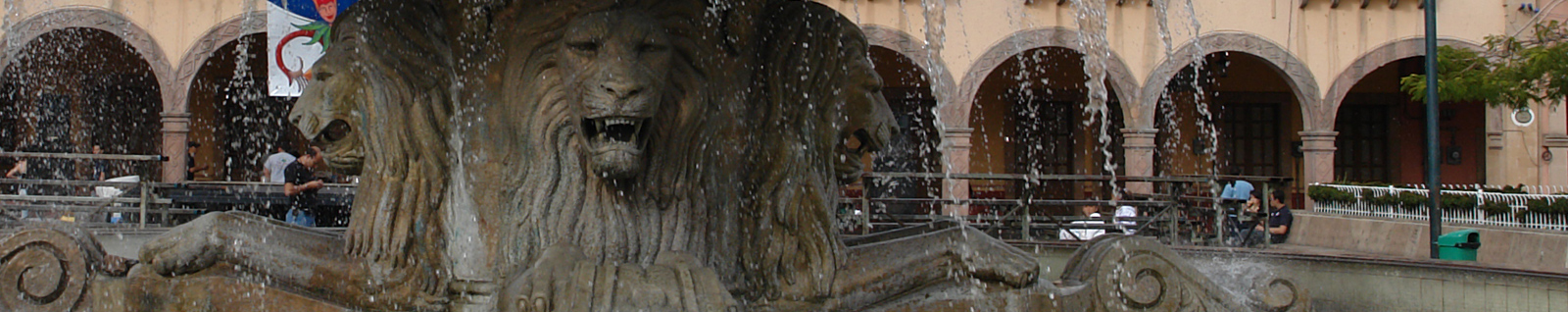 Hotel en León Guanajuato México - Hotel Terranova - Hoteles en Leon