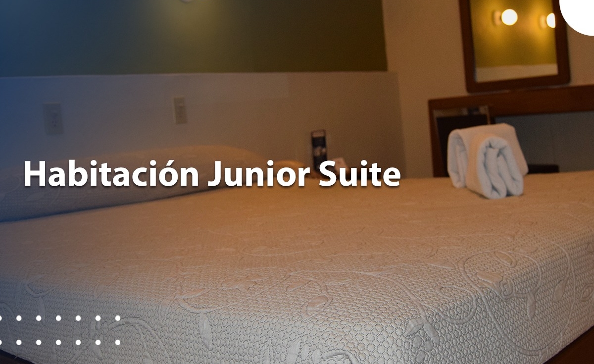 Galeria de Fotos Hotel Terranova Leon